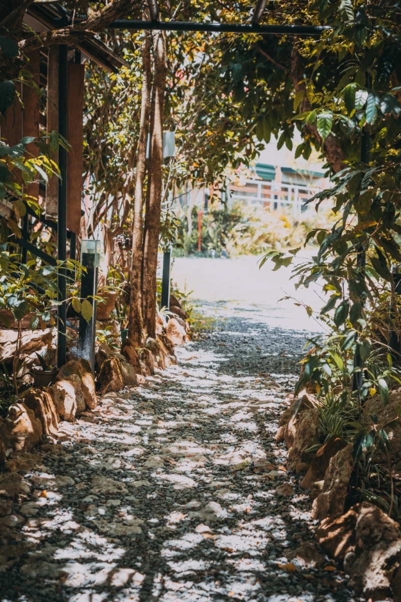 フィリピン留学 Cebu21 - Baguio JIC Premium campus-School View-29